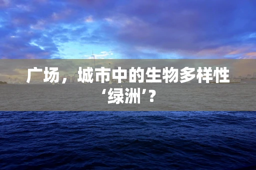 广场，城市中的生物多样性‘绿洲’？