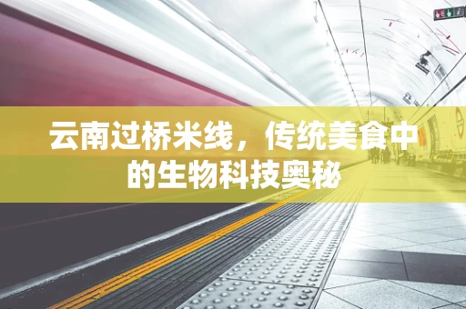 云南过桥米线，传统美食中的生物科技奥秘