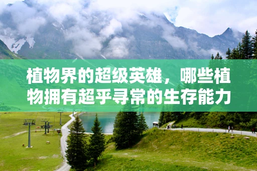 植物界的超级英雄，哪些植物拥有超乎寻常的生存能力？