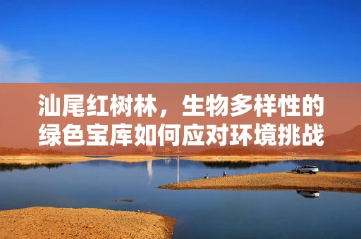 汕尾红树林，生物多样性的绿色宝库如何应对环境挑战？
