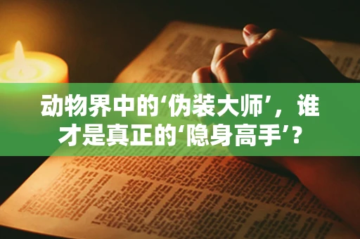 动物界中的‘伪装大师’，谁才是真正的‘隐身高手’？