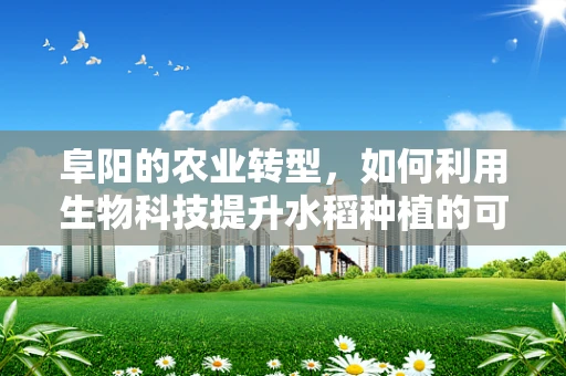阜阳的农业转型，如何利用生物科技提升水稻种植的可持续性？