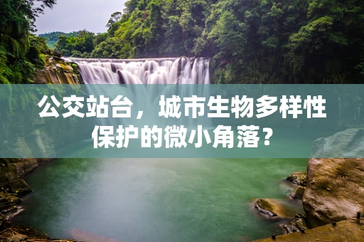 公交站台，城市生物多样性保护的微小角落？