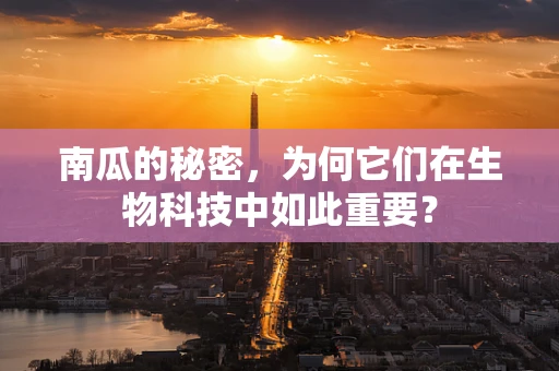 南瓜的秘密，为何它们在生物科技中如此重要？