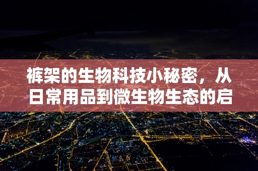 裤架的生物科技小秘密，从日常用品到微生物生态的启示