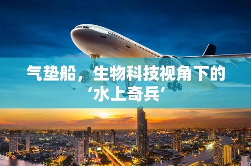 气垫船，生物科技视角下的‘水上奇兵’