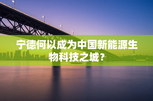 宁德何以成为中国新能源生物科技之城？