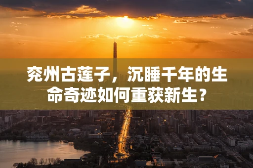 兖州古莲子，沉睡千年的生命奇迹如何重获新生？