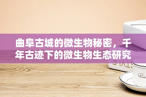 曲阜古城的微生物秘密，千年古迹下的微生物生态研究