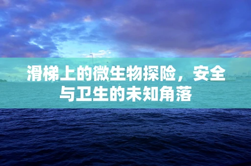 滑梯上的微生物探险，安全与卫生的未知角落