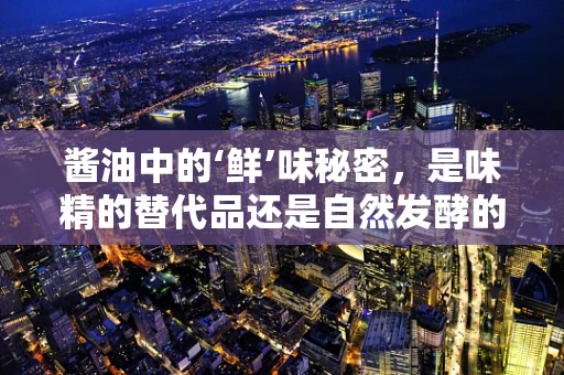 酱油中的‘鲜’味秘密，是味精的替代品还是自然发酵的功劳？
