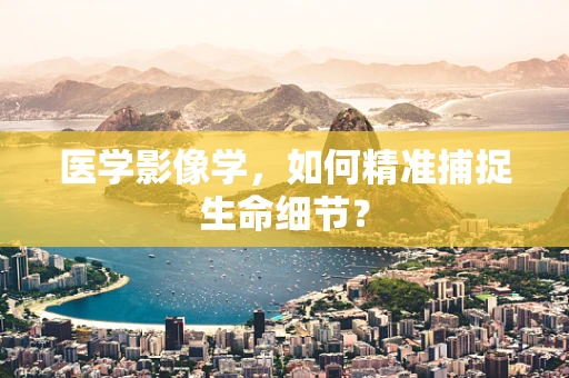 医学影像学，如何精准捕捉生命细节？