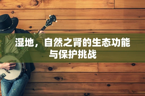 湿地，自然之肾的生态功能与保护挑战