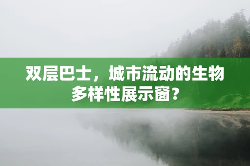 双层巴士，城市流动的生物多样性展示窗？