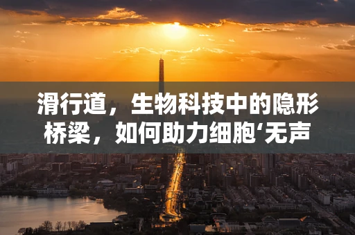 滑行道，生物科技中的隐形桥梁，如何助力细胞‘无声’迁移？