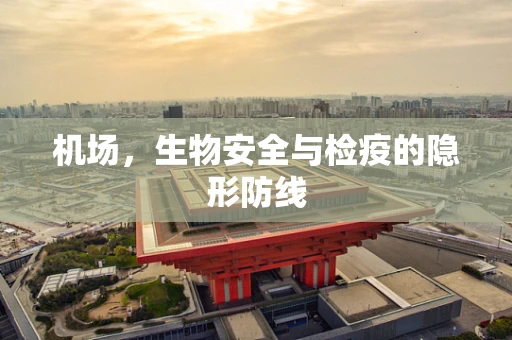 机场，生物安全与检疫的隐形防线