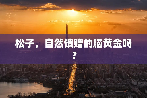 松子，自然馈赠的脑黄金吗？