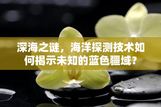 深海之谜，海洋探测技术如何揭示未知的蓝色疆域？