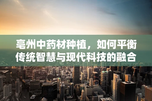 亳州中药材种植，如何平衡传统智慧与现代科技的融合？