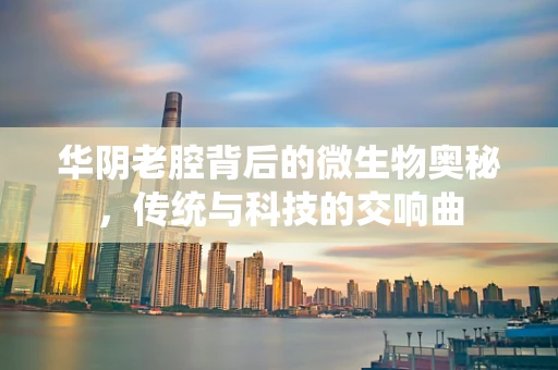 华阴老腔背后的微生物奥秘，传统与科技的交响曲