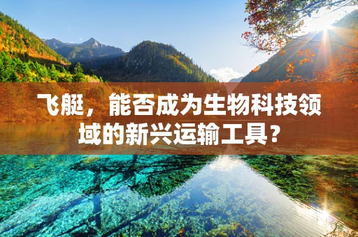 飞艇，能否成为生物科技领域的新兴运输工具？