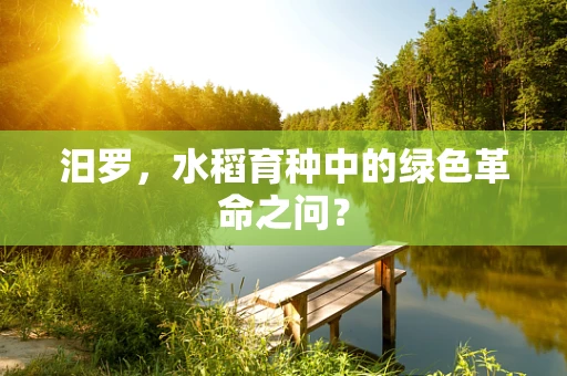 汨罗，水稻育种中的绿色革命之问？