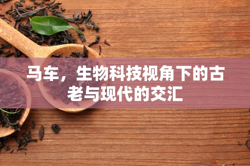 马车，生物科技视角下的古老与现代的交汇