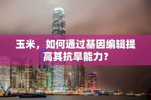 玉米，如何通过基因编辑提高其抗旱能力？
