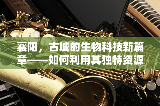 襄阳，古城的生物科技新篇章——如何利用其独特资源促进生物技术研发？