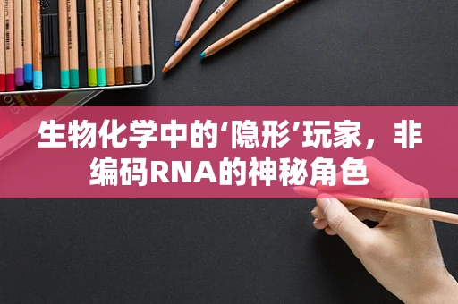 生物化学中的‘隐形’玩家，非编码RNA的神秘角色