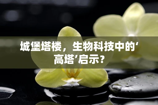 城堡塔楼，生物科技中的‘高塔’启示？
