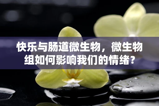 快乐与肠道微生物，微生物组如何影响我们的情绪？