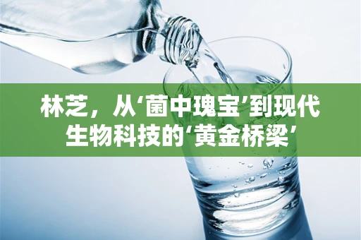 林芝，从‘菌中瑰宝’到现代生物科技的‘黄金桥梁’