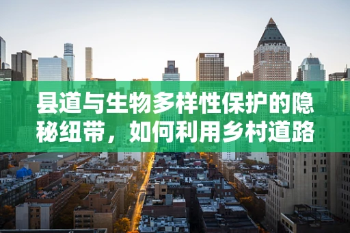 县道与生物多样性保护的隐秘纽带，如何利用乡村道路网络促进生态保护？