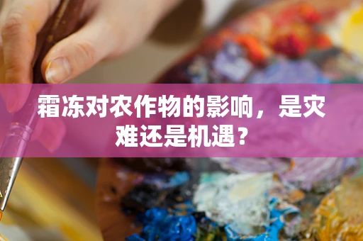 霜冻对农作物的影响，是灾难还是机遇？