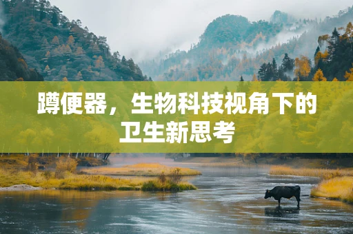 蹲便器，生物科技视角下的卫生新思考