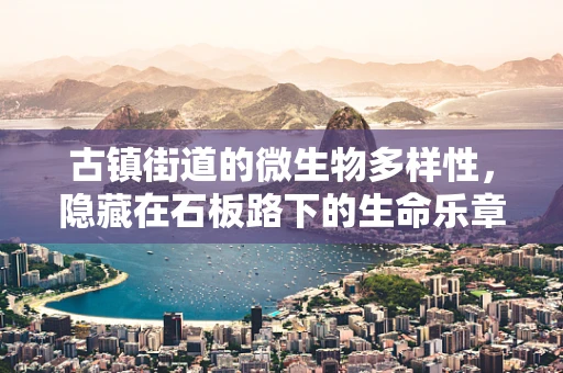 古镇街道的微生物多样性，隐藏在石板路下的生命乐章