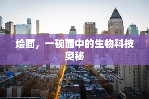 烩面，一碗面中的生物科技奥秘