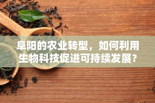 阜阳的农业转型，如何利用生物科技促进可持续发展？