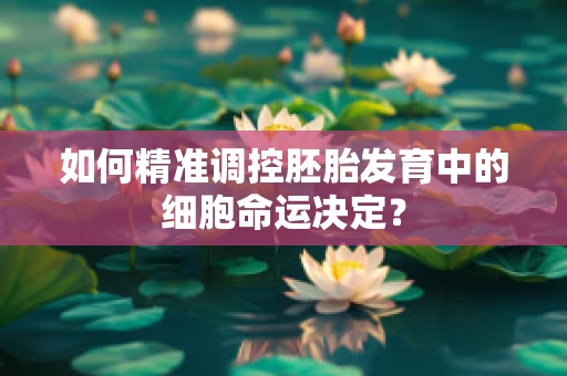 如何精准调控胚胎发育中的细胞命运决定？