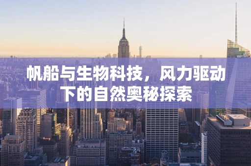 帆船与生物科技，风力驱动下的自然奥秘探索
