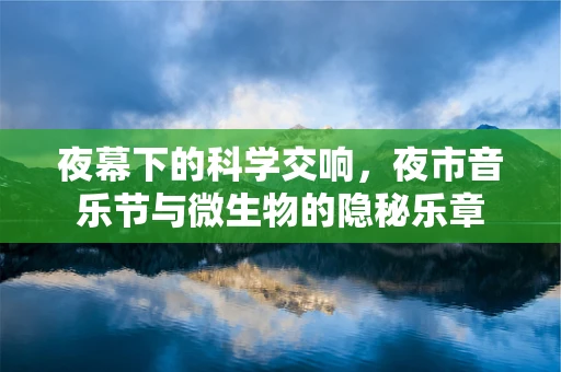 夜幕下的科学交响，夜市音乐节与微生物的隐秘乐章