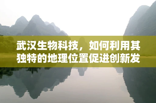 武汉生物科技，如何利用其独特的地理位置促进创新发展？