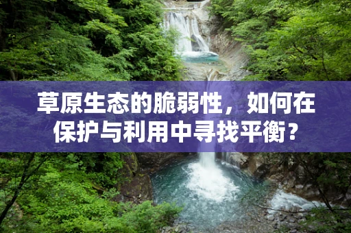 草原生态的脆弱性，如何在保护与利用中寻找平衡？