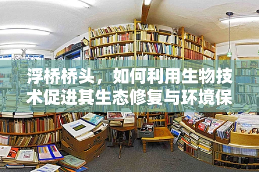 浮桥桥头，如何利用生物技术促进其生态修复与环境保护？