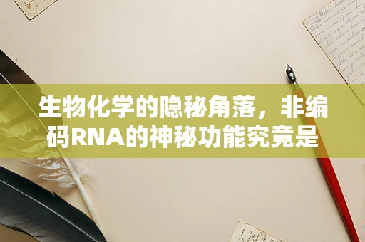 生物化学的隐秘角落，非编码RNA的神秘功能究竟是什么？