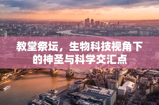 教堂祭坛，生物科技视角下的神圣与科学交汇点