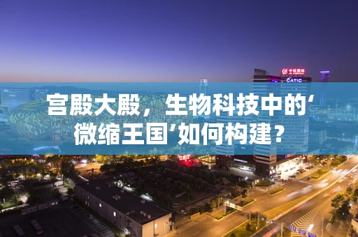 宫殿大殿，生物科技中的‘微缩王国’如何构建？