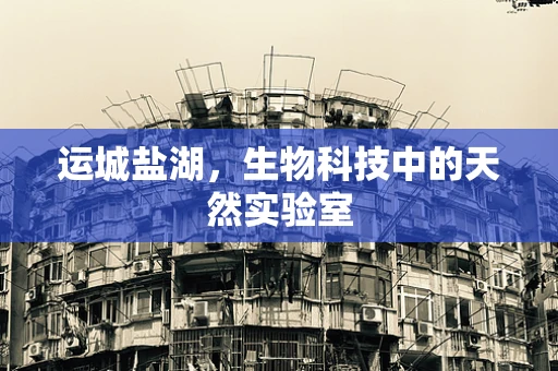 运城盐湖，生物科技中的天然实验室