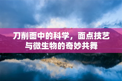 刀削面中的科学，面点技艺与微生物的奇妙共舞